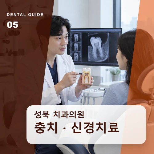 성북치과 | 신경치료·재치료, 치아 보존 가능성 살피기